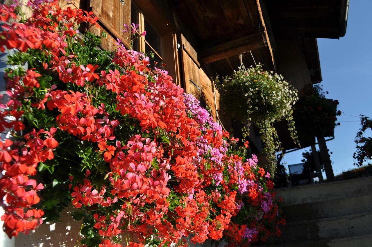 Brunnenmatte Hotel Aeschi Bei Spiez Exterior foto